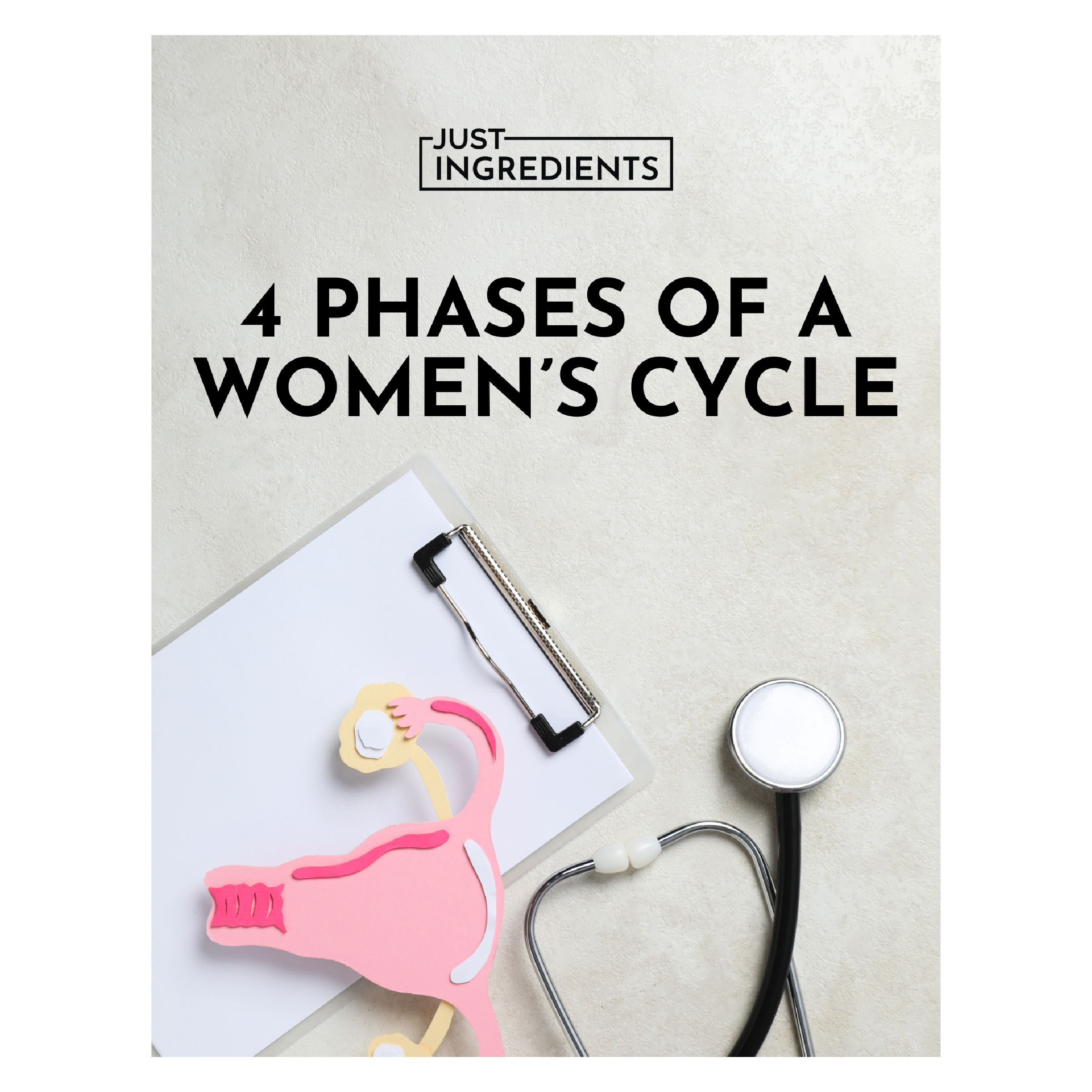 4 Phases of a Women's Cycle
